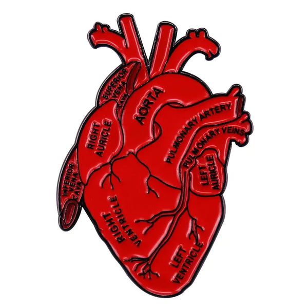 Anatomical Heart Enamel Pin